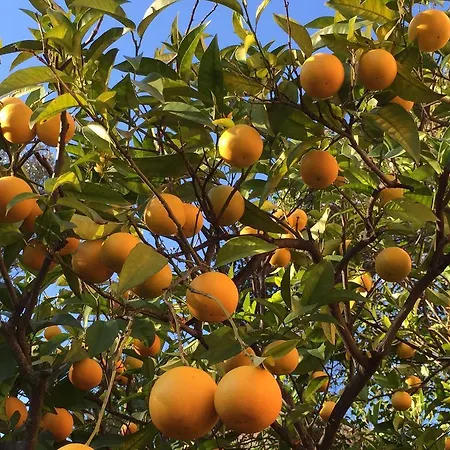 Couette-café Costa Lupara - Murchio