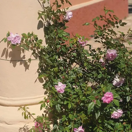 Costa Lupara - Murchio * Alassio