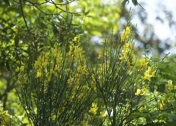 Bed & Breakfast Costa Lupara - Murchio