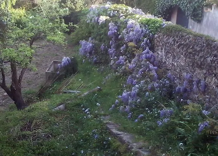 Costa Lupara - Murchio Bed & Breakfast Alassio