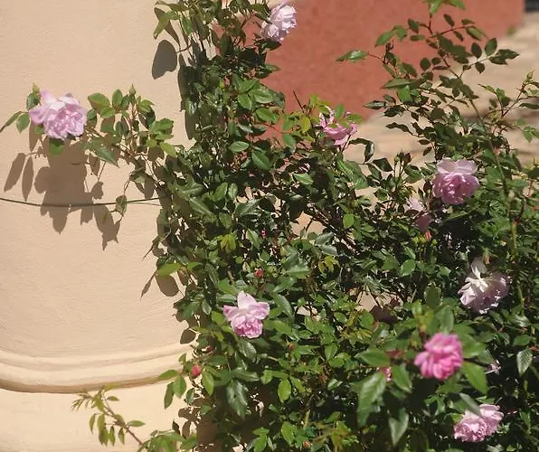 Costa Lupara - Murchio * Alassio