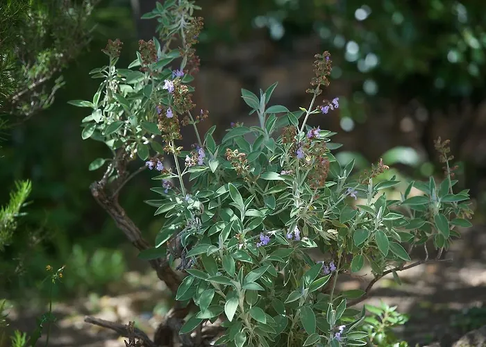 Bed & Breakfast Costa Lupara - Murchio